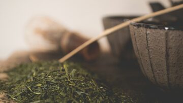 Jak żyją Nomadzi w Mongolii – styl życia w jurtach